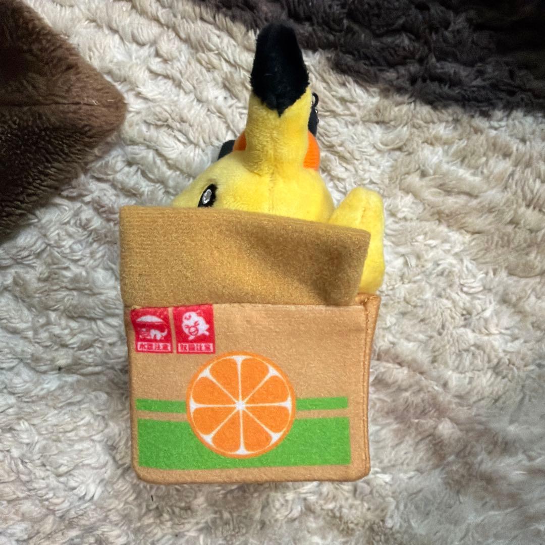 ピカチュウ ぬいぐるみ オレンジの箱入り