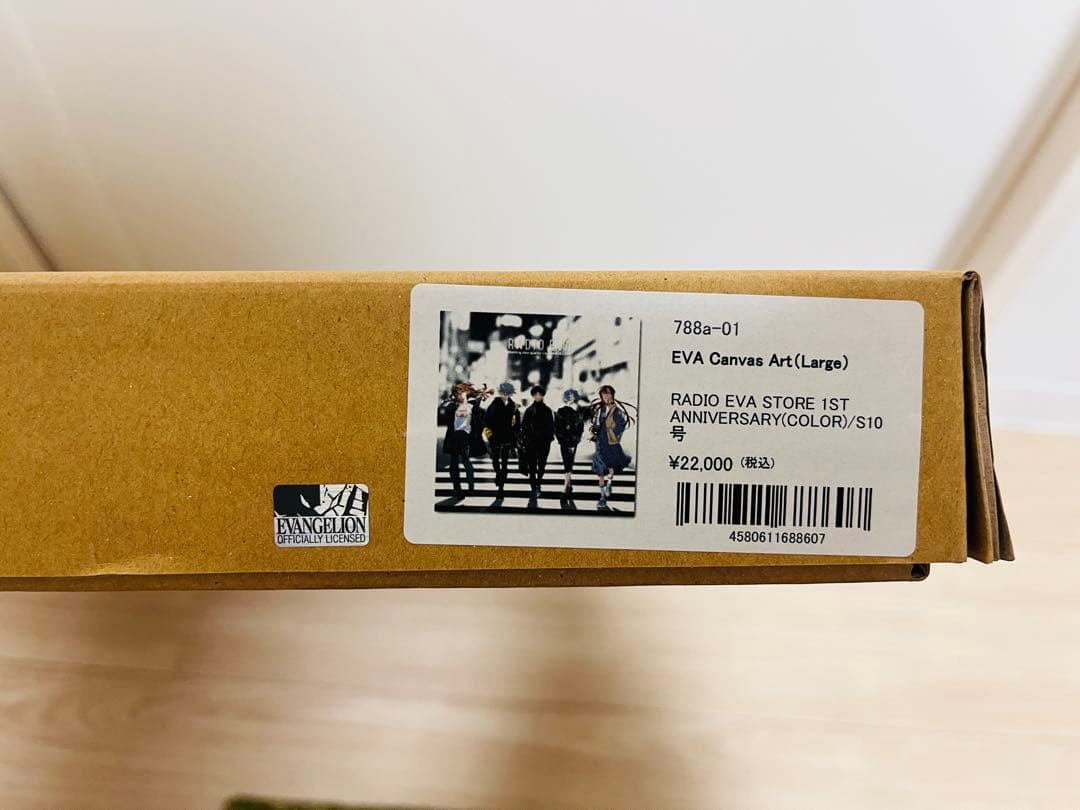 その他 EVA Canvas Art (Large)