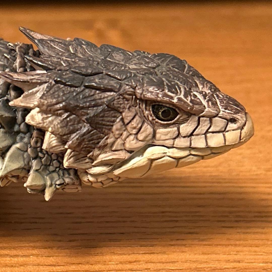 いきもの大図鑑　アルティメット　 オオヨロイトカゲ