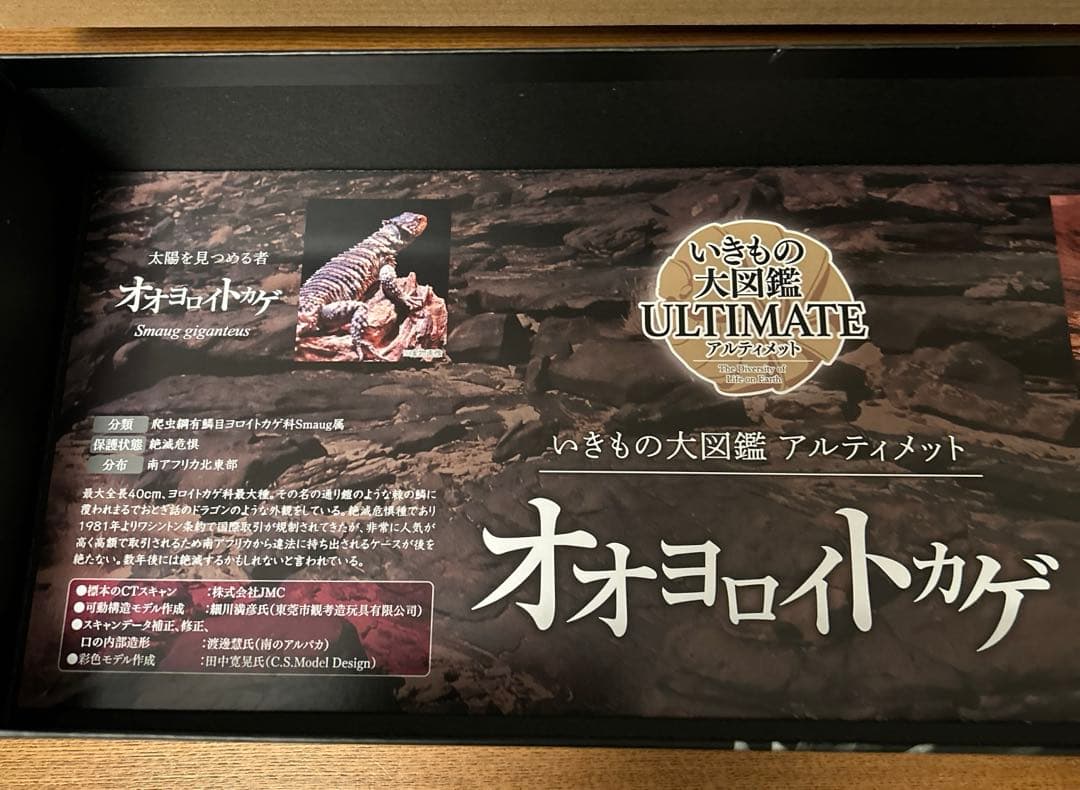 いきもの大図鑑　アルティメット　 オオヨロイトカゲ