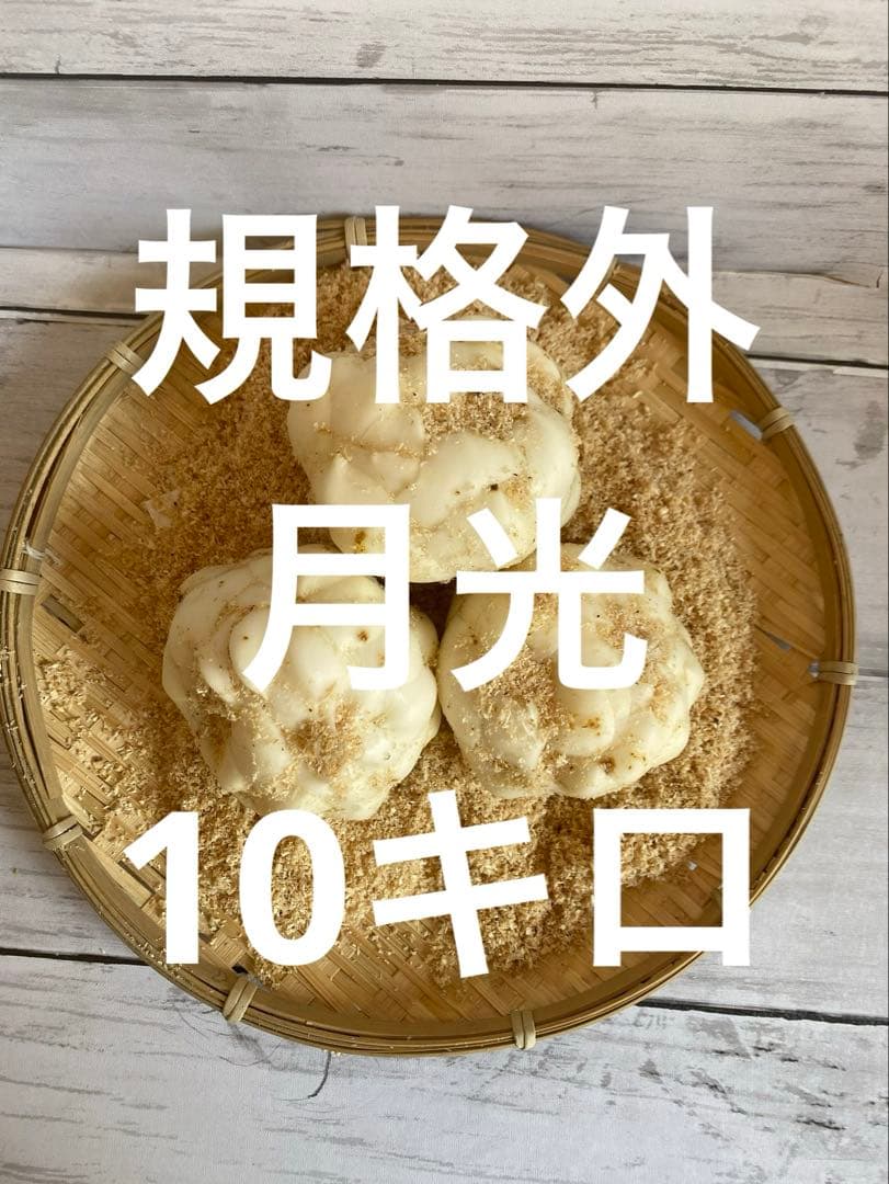 北海道十勝産規格外ゆり根 月光 10kg