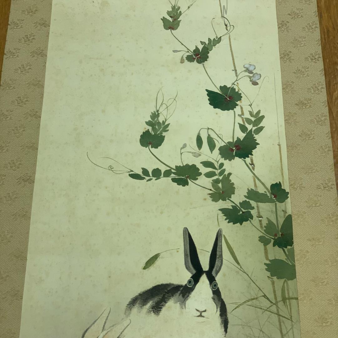 掛軸 草花兎之図 今井景樹 研精斎 花鳥図 鳥獣画 うさぎ 風景画 季節掛け
