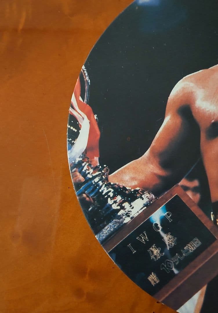 【ハルクホーガン】プロレスめんこ ホーガン・猪木・ハンセン・Tマスク・カブキ