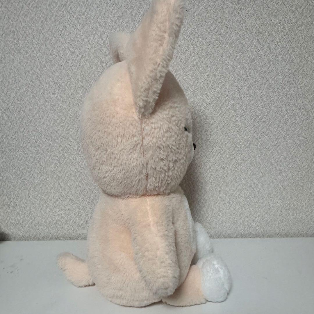 straykids テディベア ぬいぐるみ フォクシニー パスポートなし