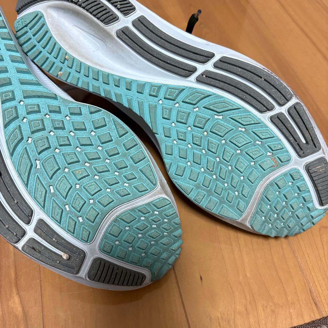 ズームペガサス