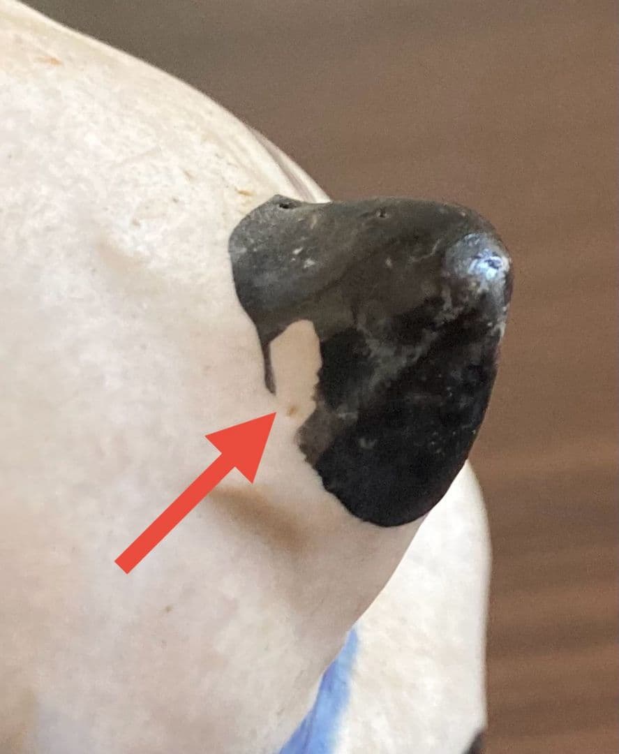 ささきようこ　猫　猫小物入れ　鯛　陶器　陶芸