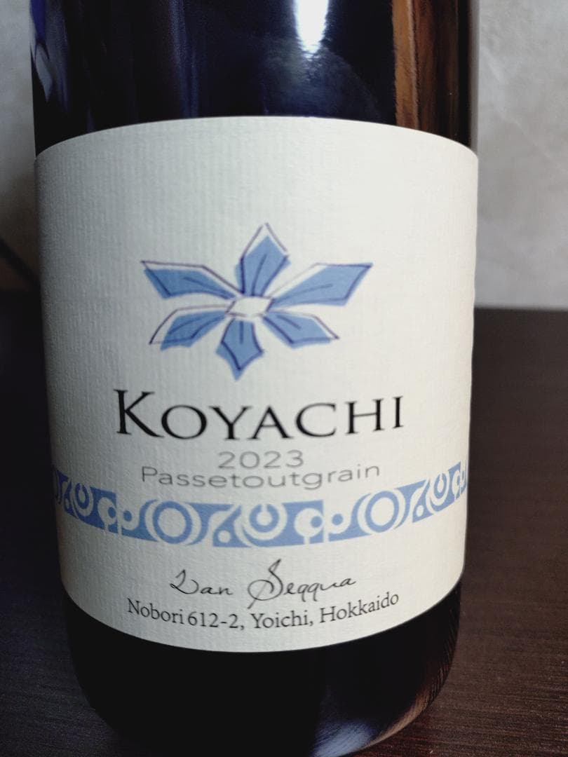 2023 KOYACHI パストゥグラン