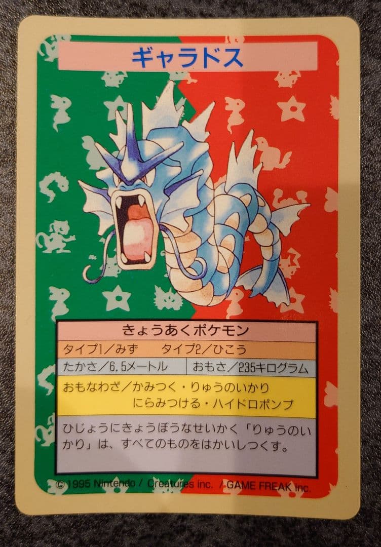 トップサン　ギャラドス　エラー版　番号なし　裏青