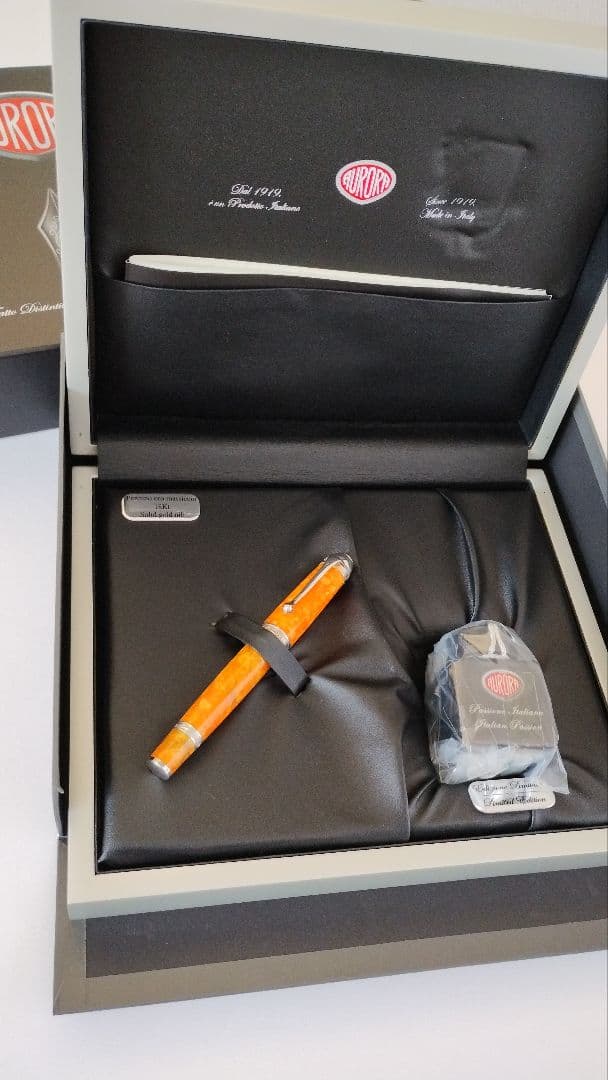 万年筆 アウロラ マーレ イオニア ペン先【Ｆ】