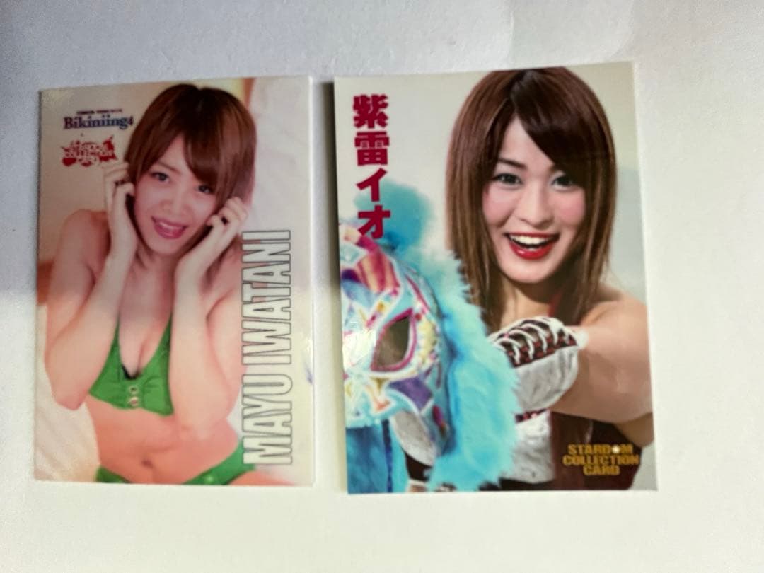 スターダム観戦ガイドブック 紫雷イオ、岩谷麻優、サンダーロックカード付き