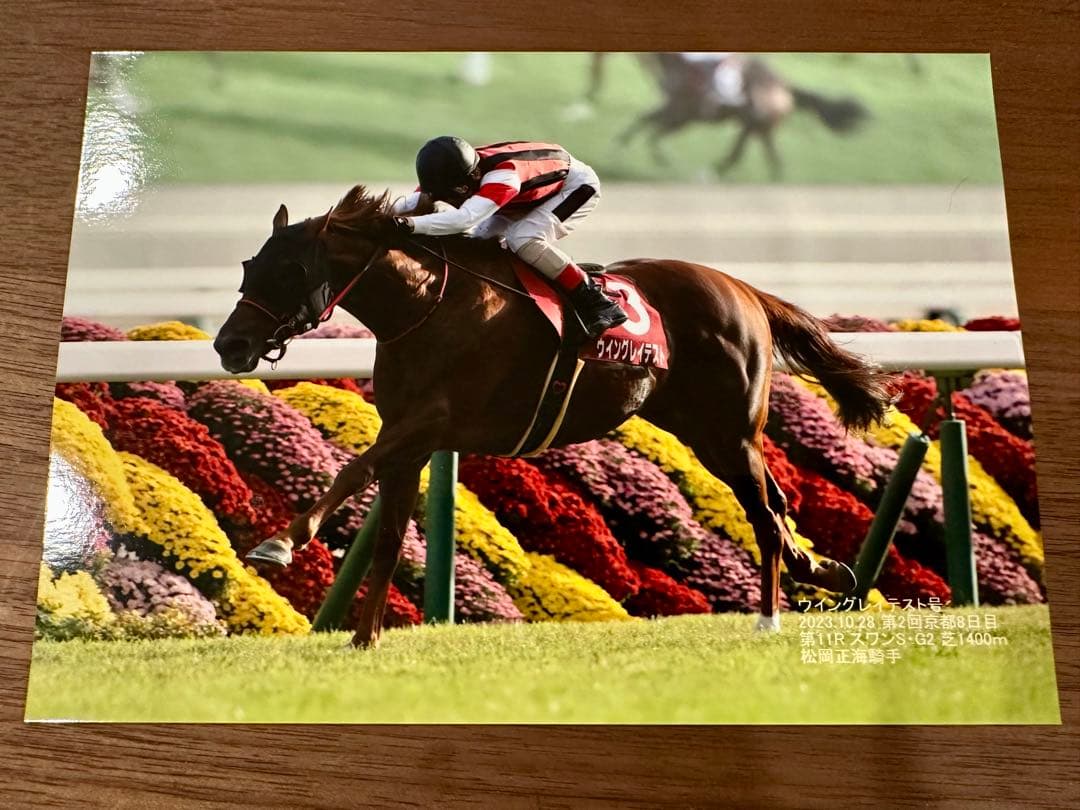 ウイングレイテスト　実使用ゼッケン・ホースレーシングカード・優勝写真（全4勝分）