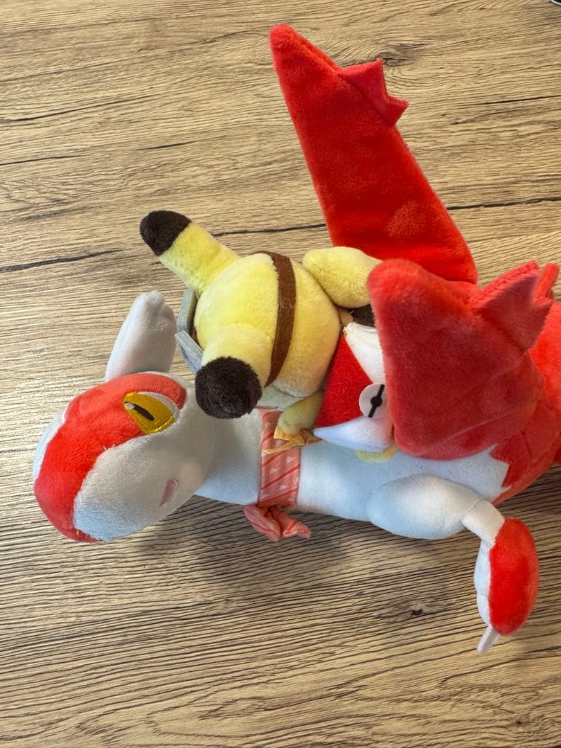 ラティオス・ラティアスに乗って