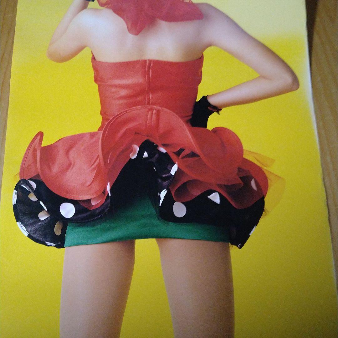 宍戸留美　大サイズポスター