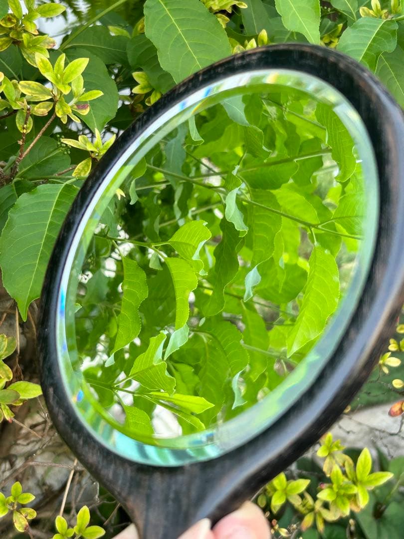 英国アンティーク エドワーディアン時代 エボニー ハンドミラー&ブラシ