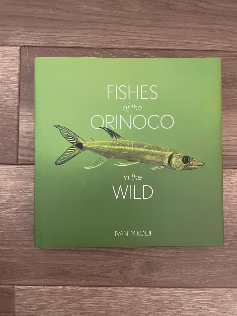 その他 FISHES of the ORINOCO in the WILD