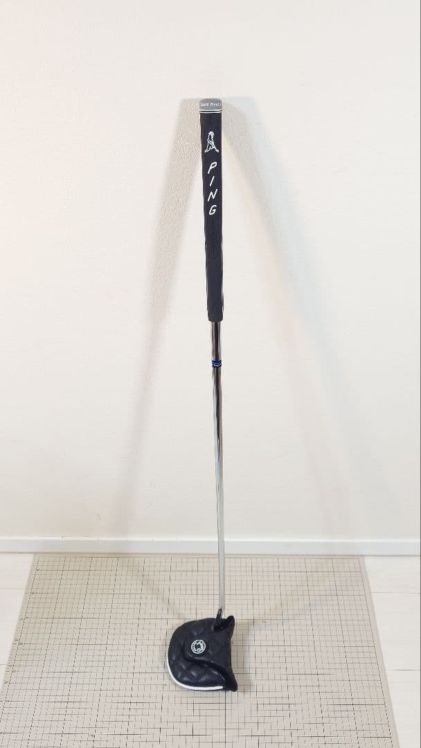 ピンＰＩＮＧ　ＦＥＴＣＨ（２０２４）　３４インチ