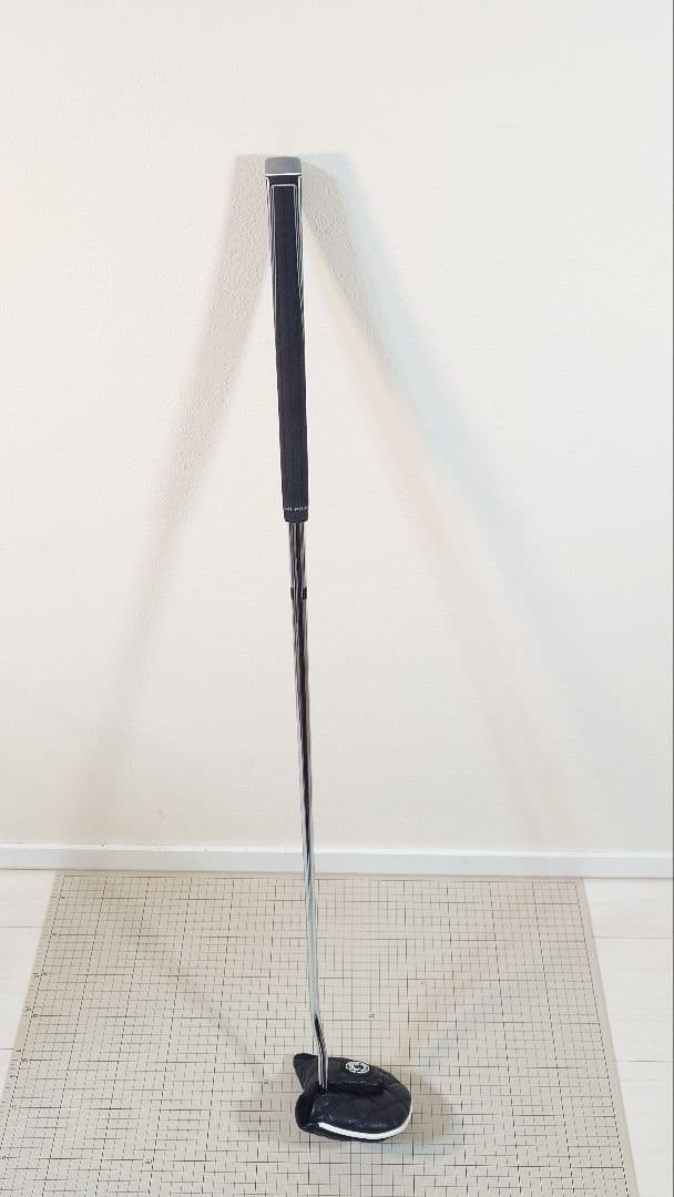 ピンＰＩＮＧ　ＦＥＴＣＨ（２０２４）　３４インチ