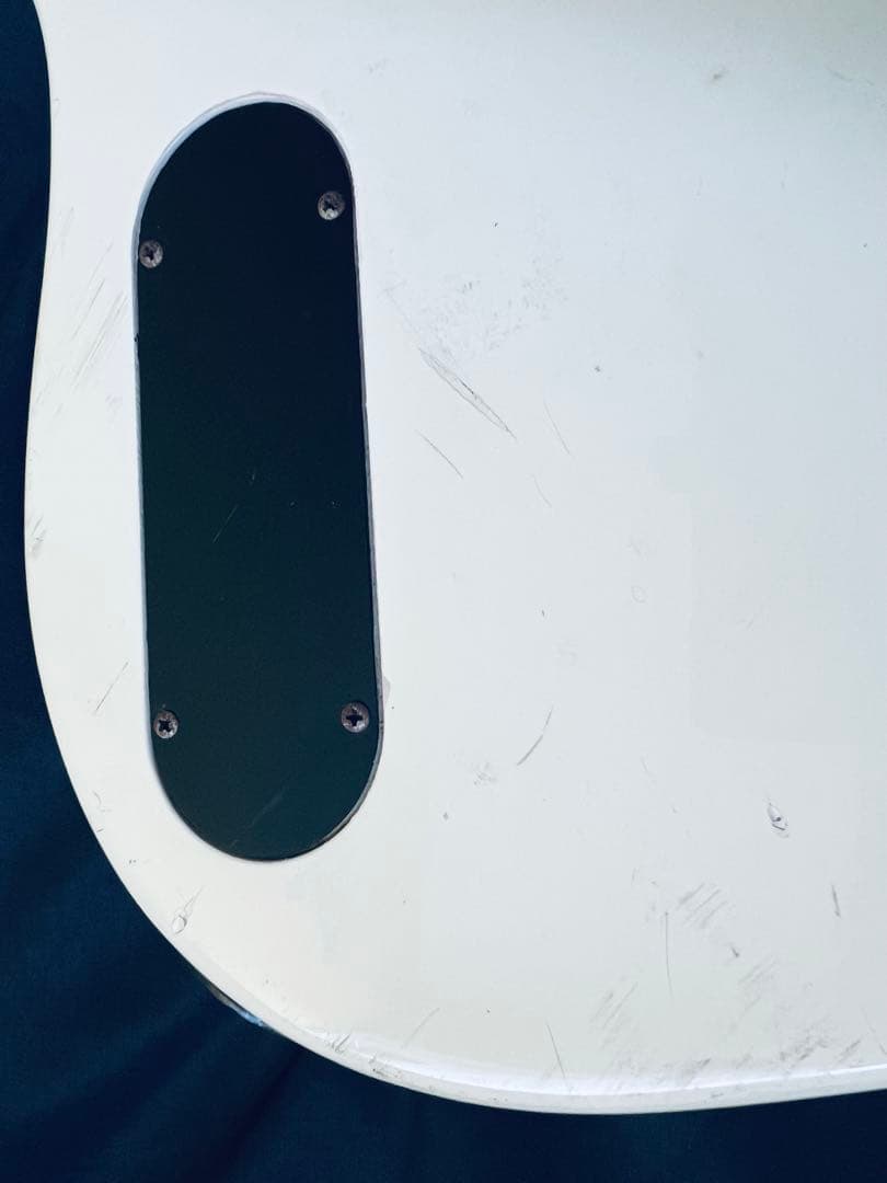 FERNANDES LIMITEDEDITION エレキベースBASS ケース付