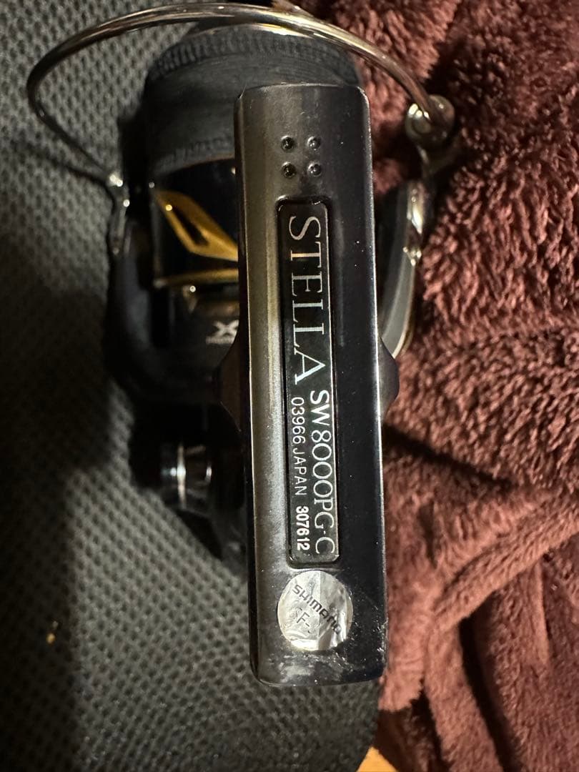 19 STELLA SW 8000PGスピニングリール