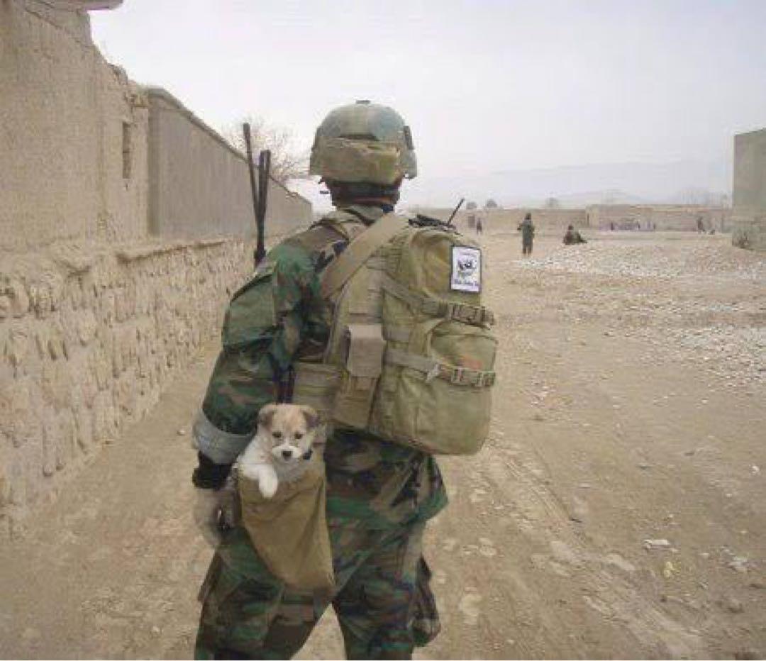 実物　CSM Tactical Gear ダンプポーチ　RG 海兵隊　陸自