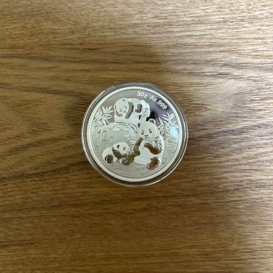 銀　2025 パンダ