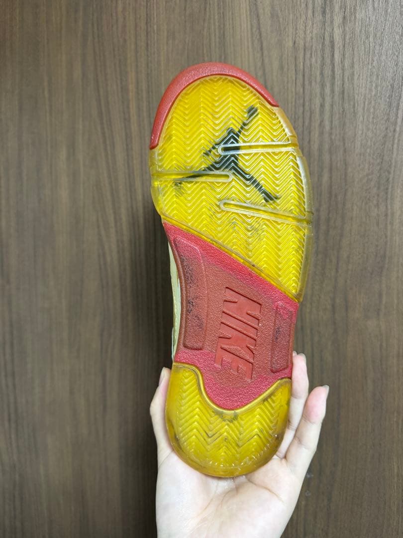 AIR JORDAN エアジョーダン 5 オリジナル　1990年製　1985年製