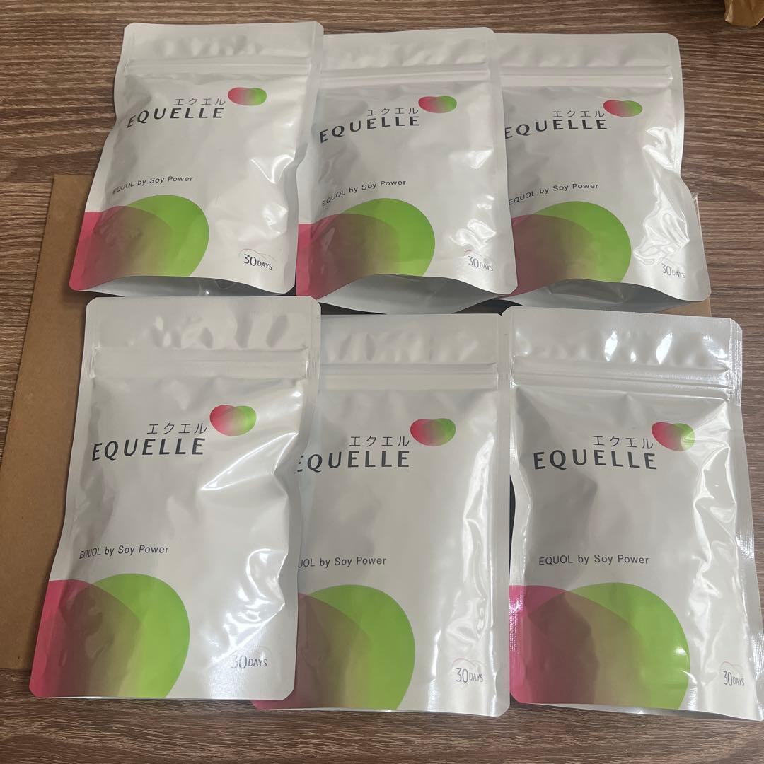 エクエル　パウチ　６袋