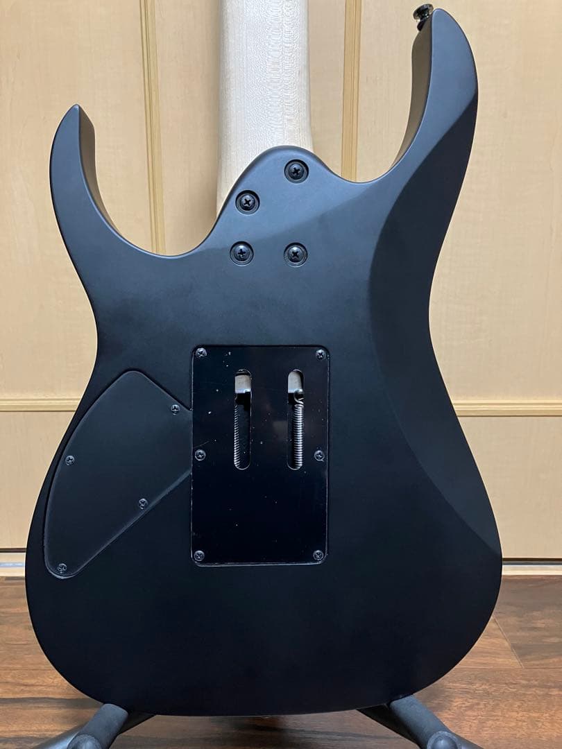Ibanez 7弦ギター RG7320EX-BKF [SPOT MODEL］