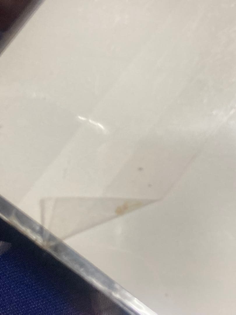 ポケモン　2001年第14回次世代ワールドホビーフェア来場記念　ポストカード