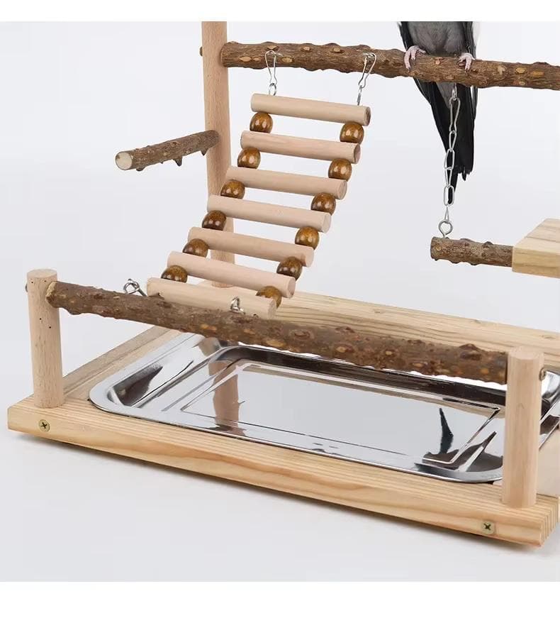 バード用アスレチックスタンド　パーチジム