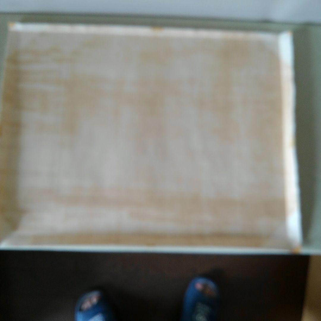 新春セールアナピア　アントニーニ　リト