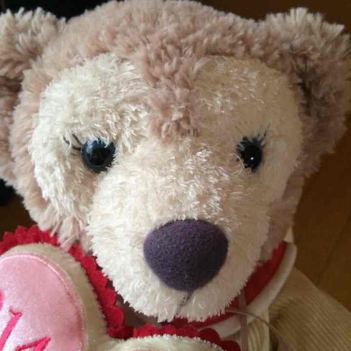 ダッフィー＆シェリーメイ