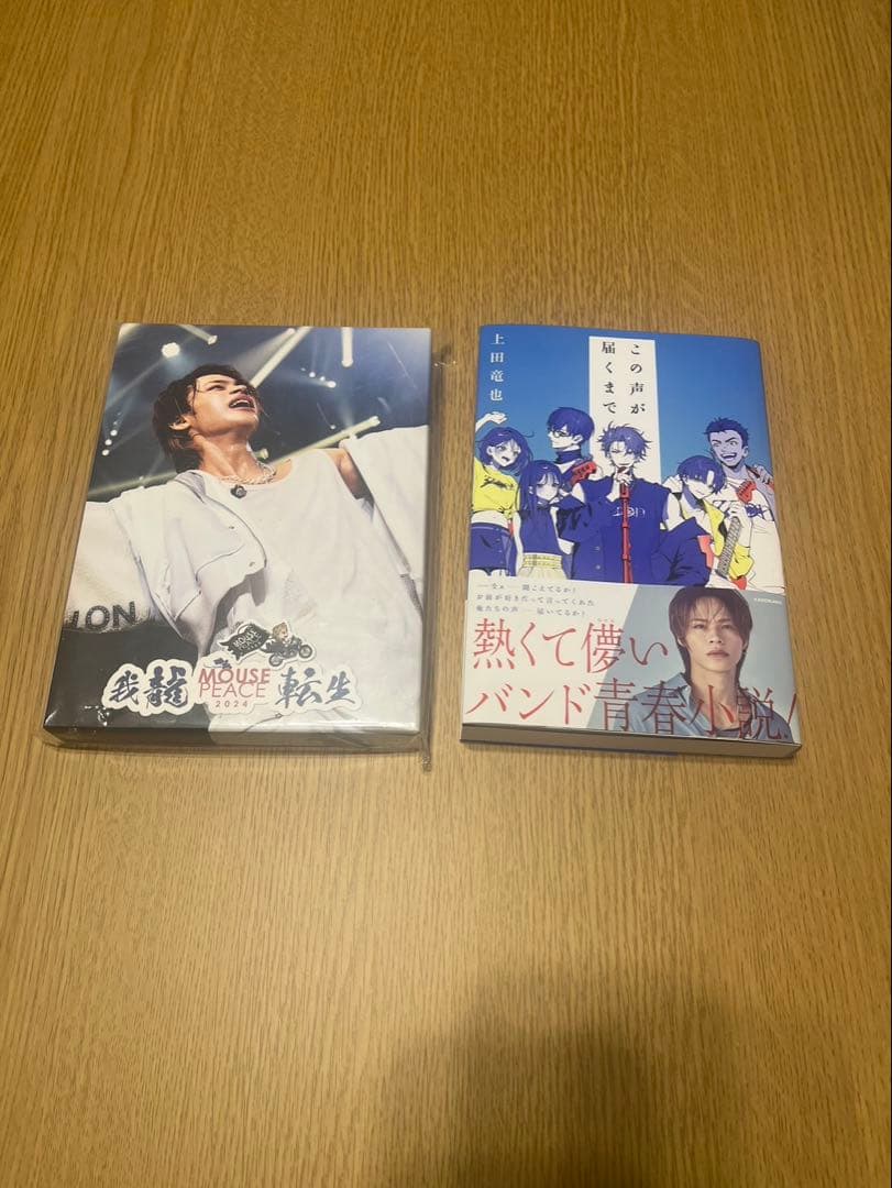 上田竜也　MOUSE PEACE 我龍転生ぬいぐるみ他グッズ　まとめ売り