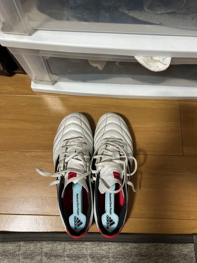 シューズ kartoon