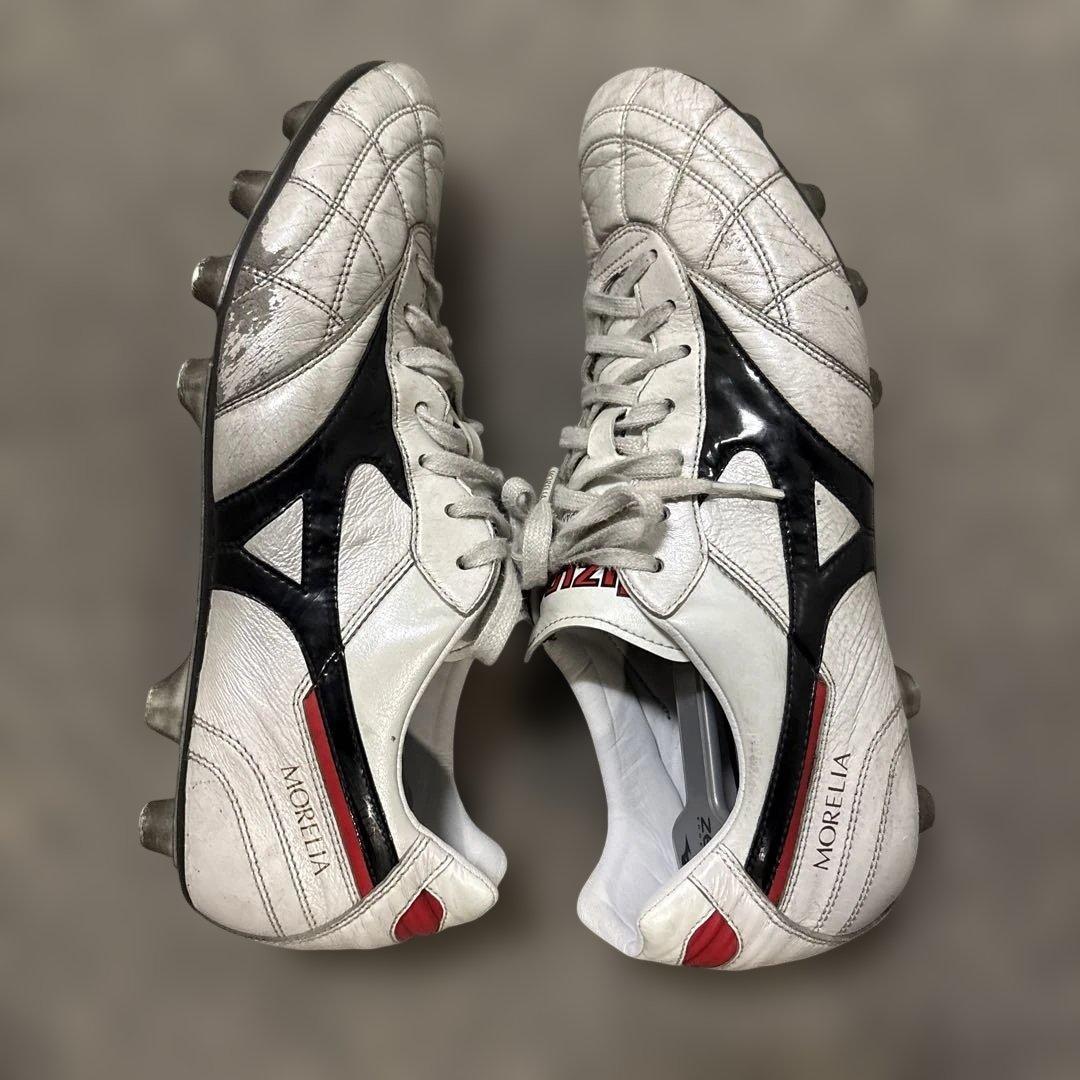 モレリア２クロスステッチ