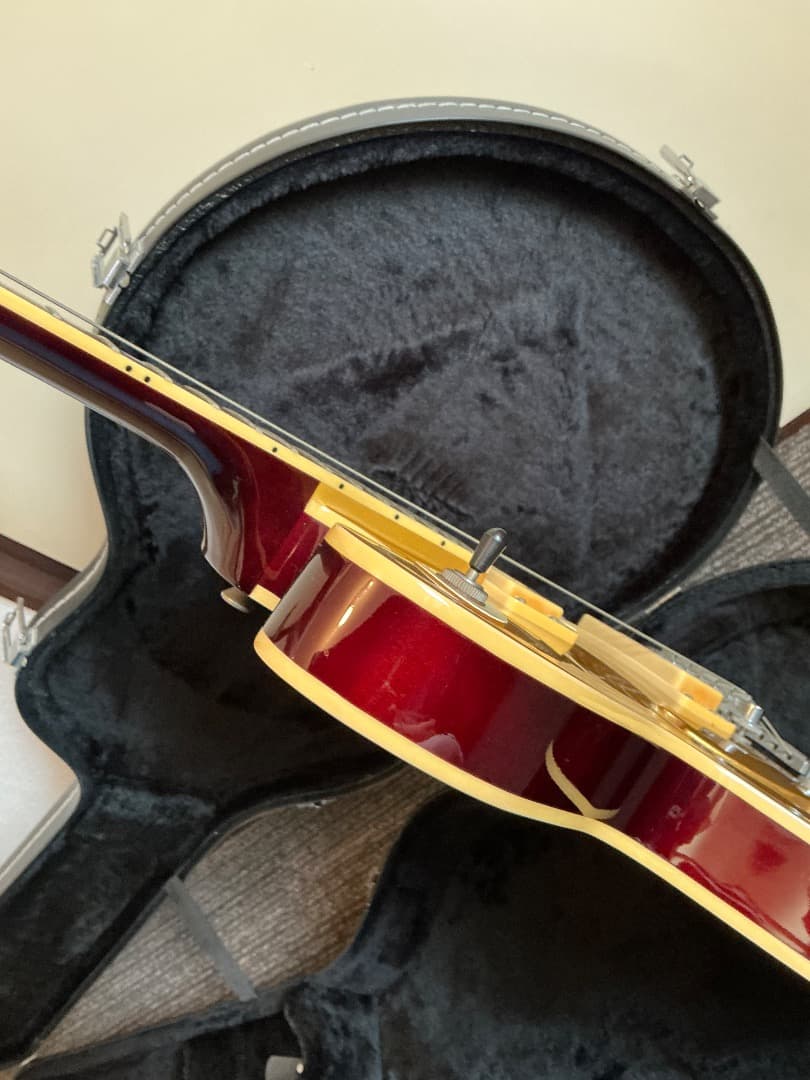 Epiphone Les Paul Signature 激レア 美品 ケース付き