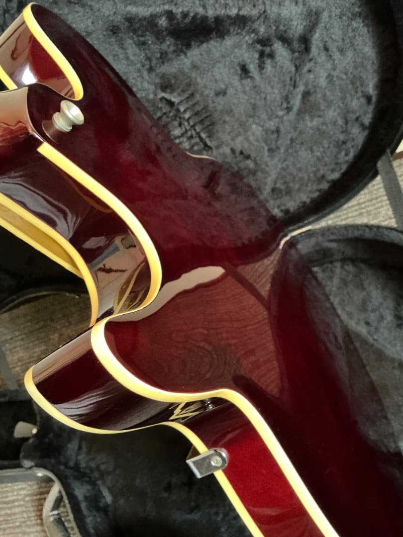 Epiphone Les Paul Signature 激レア 美品 ケース付き