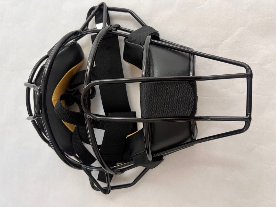 審判用プロテクター (マスク、左手用)、インジケーター、ブラシとハケ