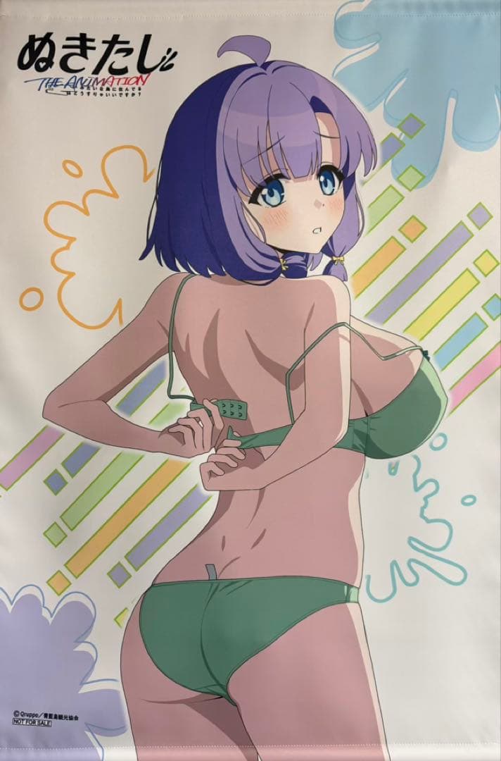 ぬきたし THE ANIMATION ゲーマーズ全巻購入特典 タペストリー