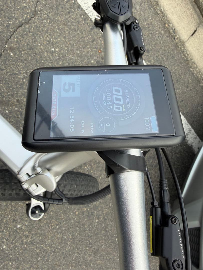 MATE X 250 MATEBAIKEほぼ新品　新発売カラー　シルバー