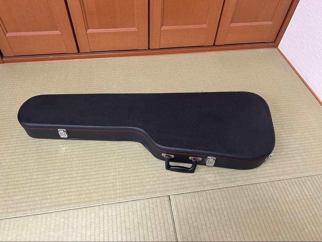 アイバニーズ　PGM100 ポールギルバートモデル