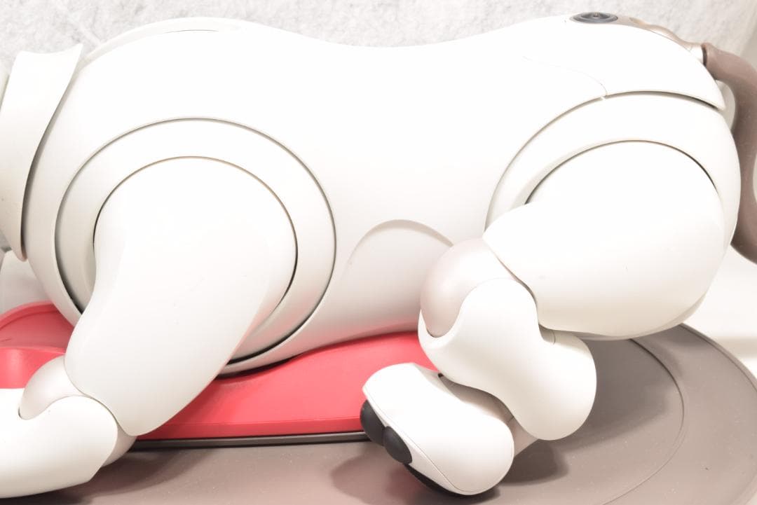 ソニー アイボ ERS-1000 アイボーン ボール AIBO 犬型 SONY
