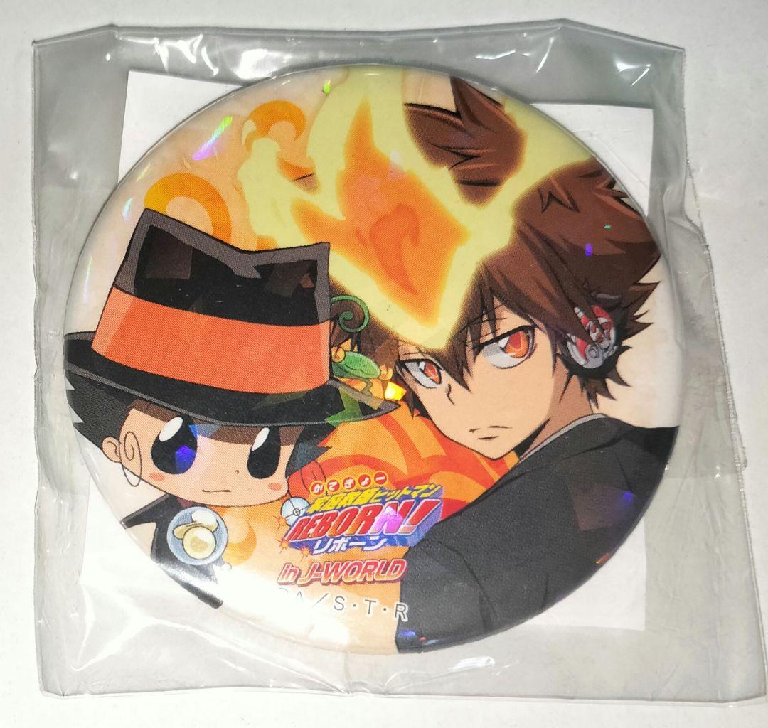 リボーン 沢田綱吉 ホログラム缶バッジ その2 J-WORLD