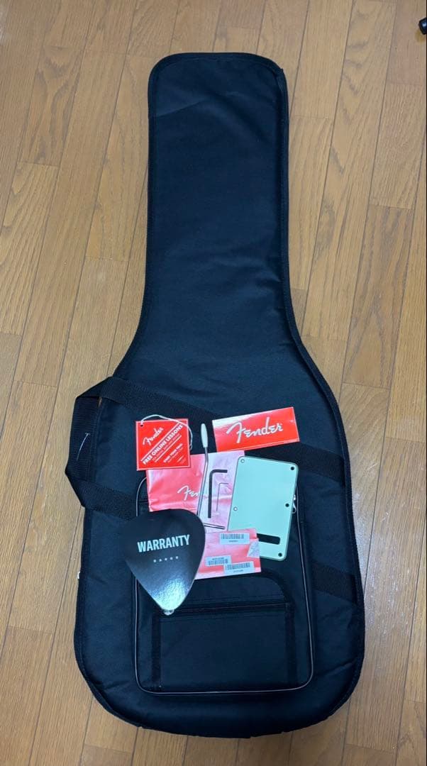 Fender フェンダー　Player Plus Opal Spark