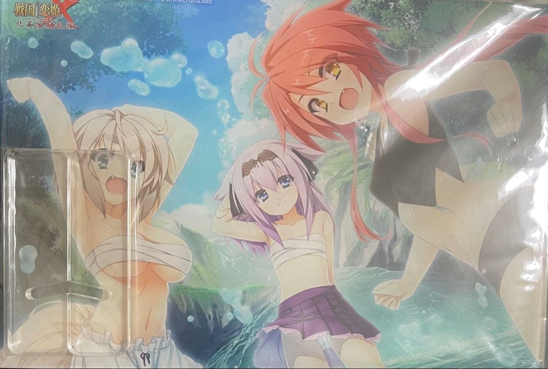 戦国恋姫 アクリルパネル