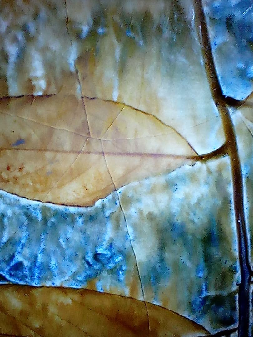 イギリス ロイヤルドルトン 1910年代 葉文壺 キズ有り