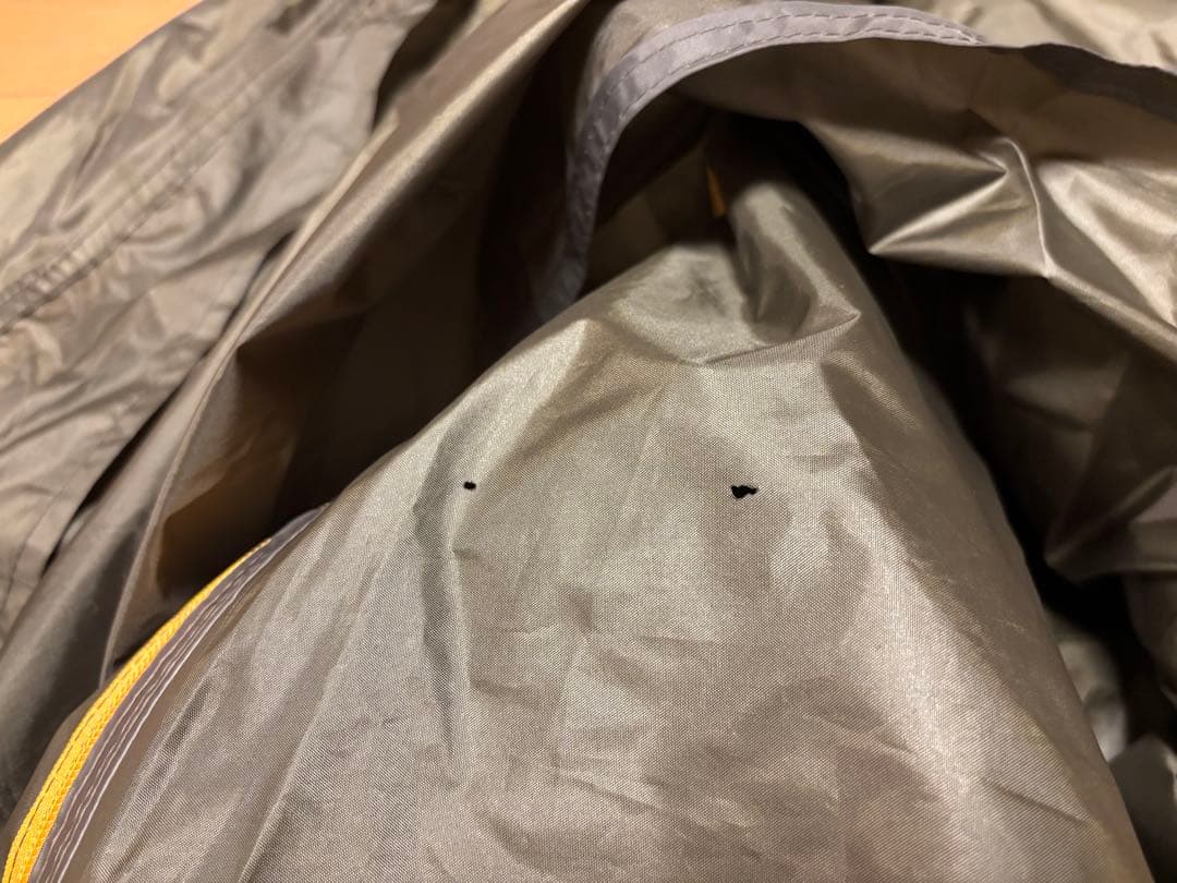 NEMO オーロラストーム2P