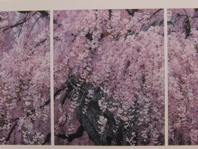 三栖右嗣、爛漫、希少な額装用画集より、新品高級額装付、状態良好