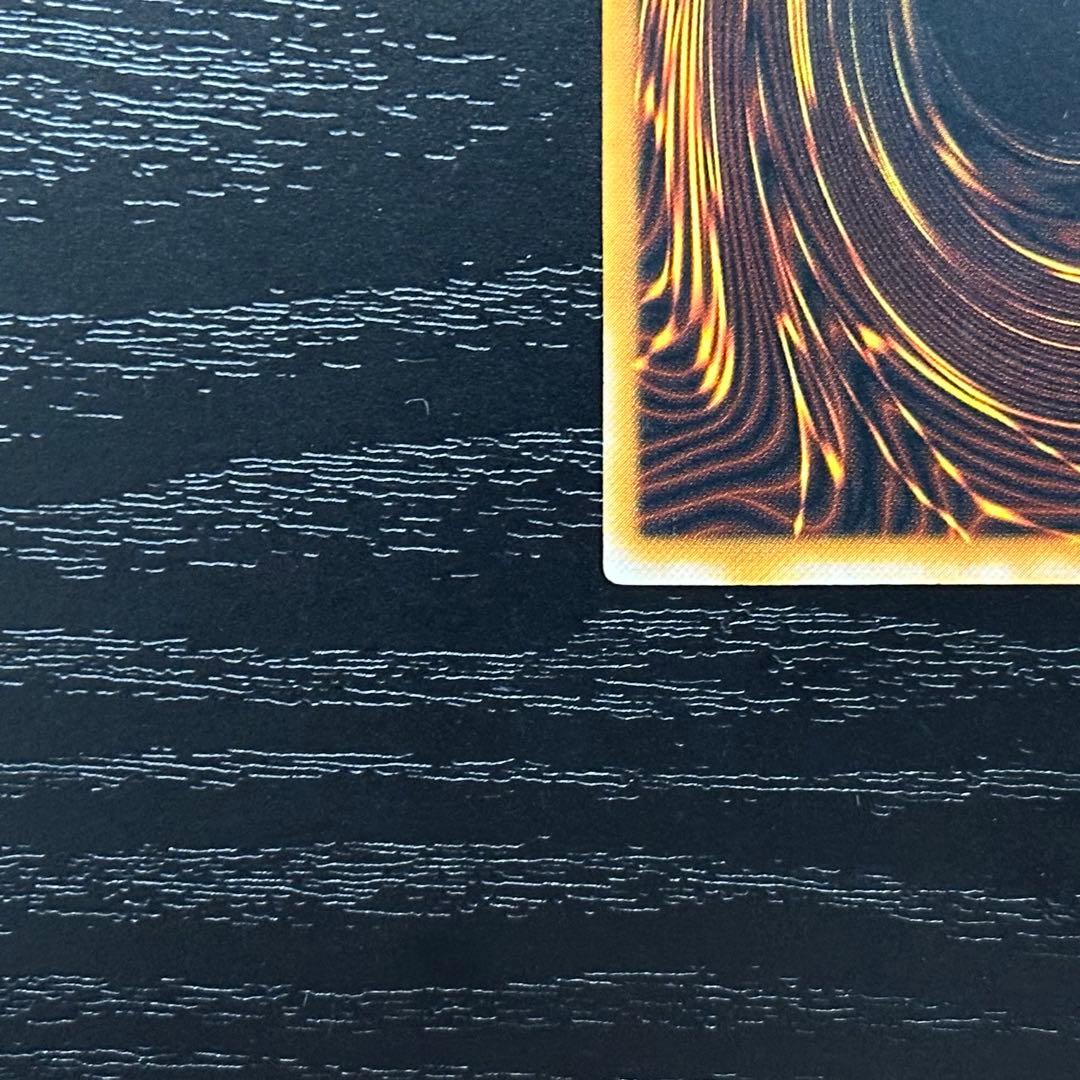 遊戯王 ダークネクロフィア レリーフ