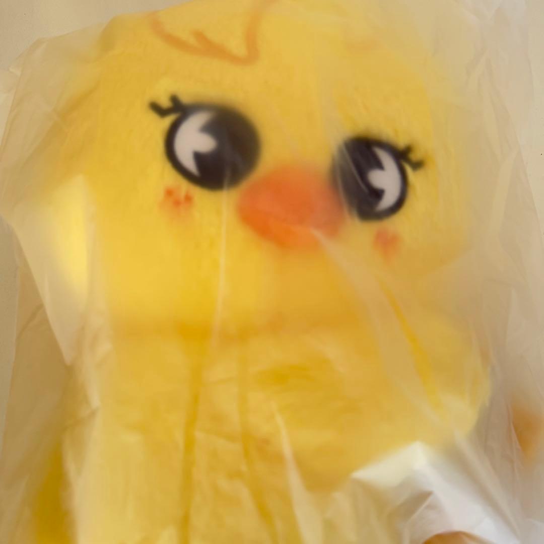 StrayKids スキズ SKZOO PLUSH BAG ポガリ フィリックス